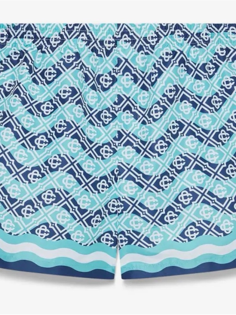 Toddler boys ' Aqua & Navy Printed Swim Shorts